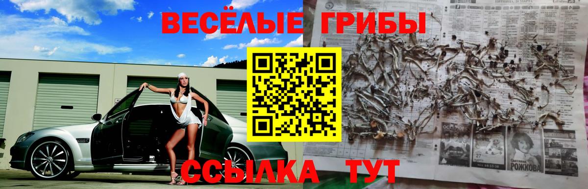закладки  Галлюциногенные грибы ЛСД  Вход с VPN  Унеча 