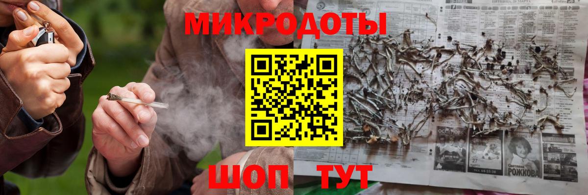 Псилоцибиновые грибы Cubensis Унеча